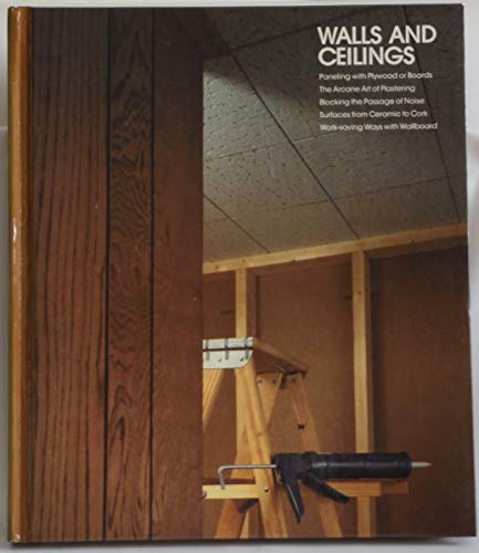 Walls and Ceilings (Home Repair and Improvement) image 2