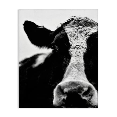 'Cow Face Portrait'| Canvas Art