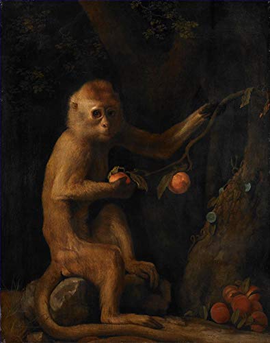 Peinture à l'huile Un singe de George Stubbs faite main par nos maîtres d'art