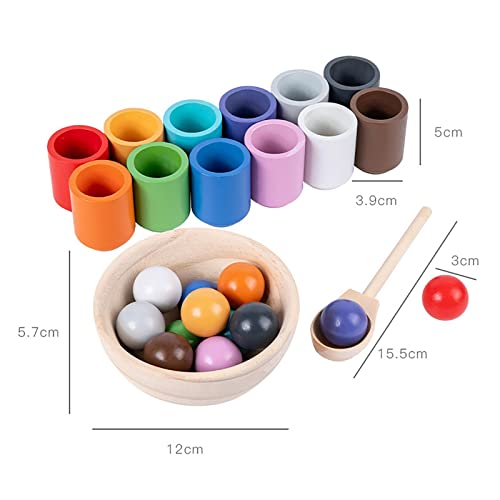 Jouet sensoriel en bois pour l'apprentissage des couleurs et la perception - 3