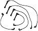 Autolite 96466 Spark Plug Wire Set