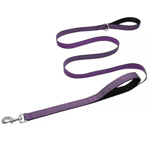 Hikiko 6FT Purple Dog Leash with Dual Handles Heavy Duty Reflective Strong Dog Leash for Walking and Training
