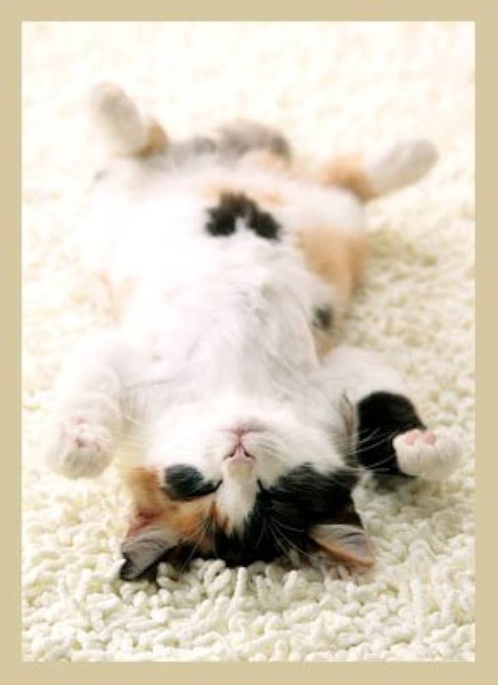 猫　キラリ　ブロッコリー　スリーブ Amazon | ブロッコリーキャラクタースリーブ・ミニ 猫「呼んだ