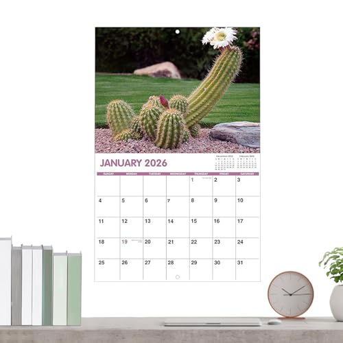 Cactus Monthly Calendar - 2026 Family & Apartment Graphic Planner, Aesthetic Planning Tool With 11×17 Inch, Wall Organizer For Home, Dormitory, S