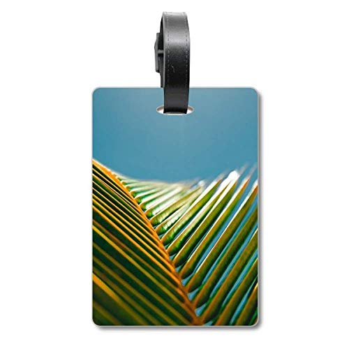 Étiquette de valise de voyage motif feuilles bleu ciel accessoire sac
