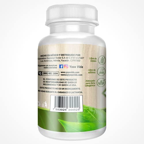 Acido Fólico, acido alfa lipoico farmacias guadalajara Marca YA'AX VIDA (3)