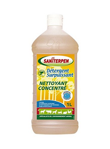 Action Pin Saniterpen Détergent Surpuissant 1 L
