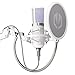 Produktbild ENDORFY Solum Streaming Onyx White, USB Plug&Play, Hochwertiges weißes USB-Computermikrofon, Verstellbarer Arm, inklusive Pop-Filter, das in den Rahmen eingeschraubt Wird, EY1B005