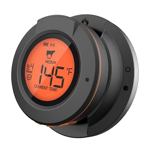 Thermomètre de four Bluetooth pour réussir vos repas de famille au barbecue