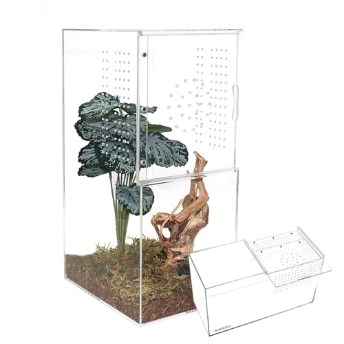 Naneezoo YAKELI1486 Acrylic Reptile Terrarium Enclosure, 14 Inchx6 Inchx8 Inch Tarantula Enclosure thumb #6