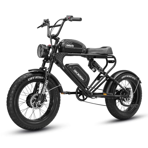 40AH 48V Electric Bike for Adults Peak Value 2400W Dual