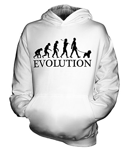 Sweat Bichon À Poil Frisé Évolution enfant idéal pour l'école et le sport