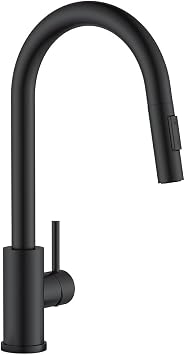 APPASO Modern Kitchen Mixing Faucet with Pull Out Sprayer Single Lever SUS304 Stainless Steel Mixing Faucet for Kitchen Sinks, Japanese Instruction Manual Included Black