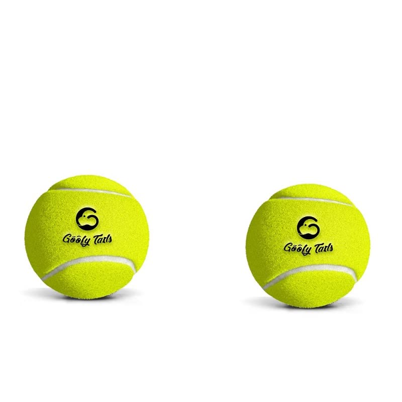 Goofy TailsSqueaky Tennis Dog Ball Dog Toys, Combo of Tennis Ball for Dog, Squeaky Toys for Dogs,Dog Toy Ball, Dog Chew Toys, Balls for Dogs (Squeaky Tennis Ball - Yellow (Pack of 2)