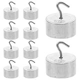 Didiseaon 10pièces Poids De Laboratoire Avec Crochets Poids Métal Chromé Pour Expériences ...
