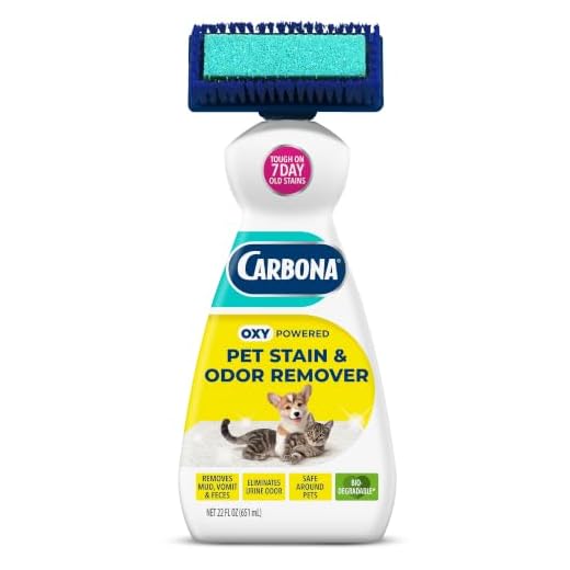 Carbona 2-in-1 Pet Stain & Odor Remover