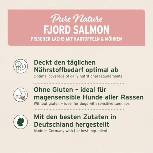 AniForte Lachs Trockenfutter für Hunde 2kg – Frischer Lachs mit Kartoffeln & Vitaminen, Halbfeuchtes Trockenfutter, Hundefutter trocken getreidefrei & glutenfrei für Allergiker