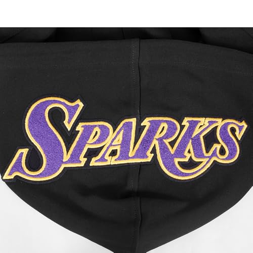 Image of Pro Standard Mens WNBA Classic Chenille Pull Over Hoodie