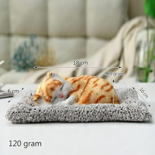 Image of Sleeping cat
