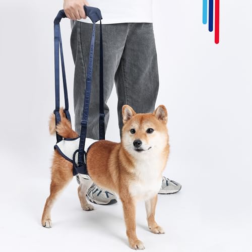 Dog Lift Harness for Back Legs - Adjustable Mobility Aid for IVDD/Paralyzed/Senior Dogs (3-in-1 Sling Design), Comfortable Leg Support, Instantly Help Your Dog Walk Again (Blue, S) by Generic - Image 6