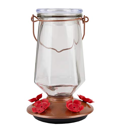 Perky-Pet 9109-1SR Crystal Top-Fill Glass Hummingbird Feeder thumb #8