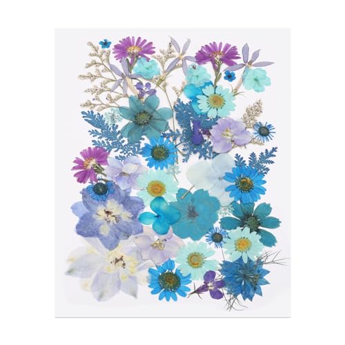 Dried Pressed Flower Leaves Bulk 45 Piezas Azul miniatura 1