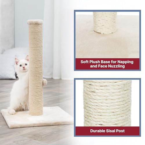 Trixie Parla Cat Scratching Post 24.4 Inch - Cat Scratcher with Soft Fabric Covering Base and Durable Sisal Rope - in Beige - Image 5