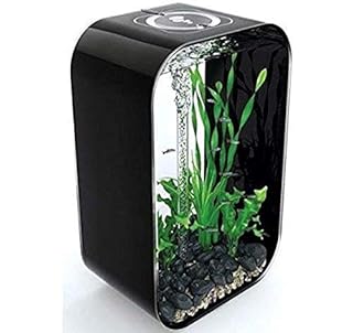 BiOrb Life 45 Aquarium with MCR - 12 Gallon, Black