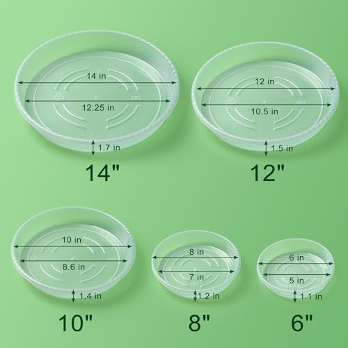 Hoewina HPTP-6P-CLEAR-FT Plant Saucer Tray - 6 Pack 10 Inch Plastic Plant Trays thumb #6