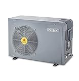 Intex