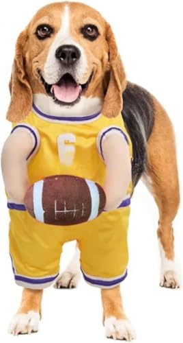 Tuyiutm ̃RX`[AϑA^ƒ^p̃oXPbg{[RX`[AnEBA񑫕sA[vCRX`[AhAgAWvX[cA{[t (5,S)