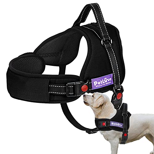 Arnés PetLove para perro, correa suave acolchada, sin tirones, diferentes tamaños Cover
