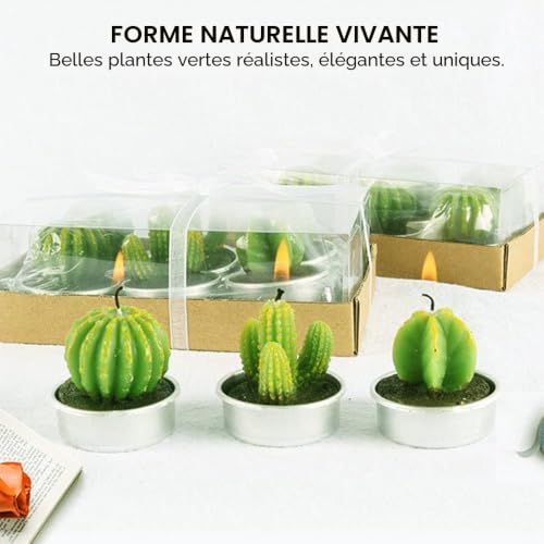 PUDSIRN Lot de 24 bougies chauffe-plat faites à la main en forme de cactus succulents - Bougies artificielles pour fête, festival, anniversaire, mariage, décoration d'intérieur – vue 4