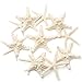 Starfish