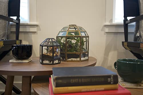 Urban Born Handmade Small Birdcage Glass Terrarium — 5" X 4" X 4" (Black) #TOP1