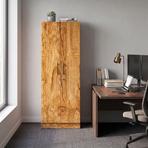 Image of FFO 2 Door Wardrobe | Multi-Purpose Wardrobe Organizer with Shelves | Engineered Wood Cupboard for Living Room, Bedroom & Office | Modern Sideboard Storage Unit Coach Wood DIY.