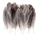 REMARQUE: Comme il s'agit de plumes naturelles, attendez-vous à de légères variations de taille, de couleur et de texture - ces différences contribuent au caractère unique et à la réalité de votre projet DIY terminé. Bien que durables, les plumes naturelles nécessitent une manipulation soignée pendant l'artisanat pour éviter d'endommager les barbes délicates et maintenir leur belle apparence tout au long de votre processus créatif