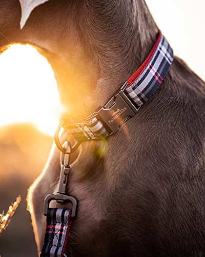 FREUDENTIER Hundehalsband mit Hundeleine 2m im Set - Hundeleine verstellbar - Edinburgh Kollektion - Hundehalsband große Hunde, Halsband Hund kleine & mittelgroße - Hund Halsband inkl. Geschenkbox