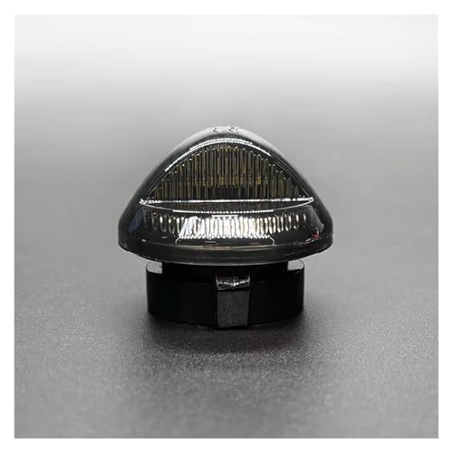 Luz LED para matrícula coche con alta visibilidad trasera para Ford Ranger y Explorer