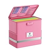 ZOOPIP Fireproof File Box with Lock, Document Box Storage Organizer, Suitable for Hanging File Folders in Letter Size, Collapsible File Box, Reflective Strip for Fast Find (12.2'*6'*10.2, Pink)