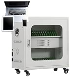 Haute efficacité de charge : cette solution de charge offre plusieurs interfaces pour répondre à vos besoins de charge. Profitez de vitesses de charge plus rapides par rapport aux chargeurs traditionnels, assurant que vos appareils sont prêts à l'emploi même en cas d'urgence.