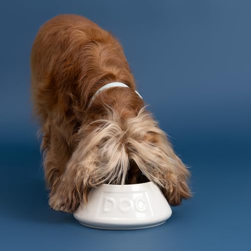 Mason Cash: Non-Tip Dog Bowl - Cream - 8.3", 54oz - Durable Ceramic Food & Water Angled Dish, Microwave-Dishwasher Safe, Pet Meal Feeding & Hydration by Mason Cash - Image 4