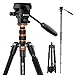 GEEKOTO 77 Inches Video Camera Tripod, Aluminum Tripod with 1/4" Screws Fluid Drag Pan Head, Professional Tripod for DSLR Cameras Video Camcorders Load Capacity Up to 20 Pounds