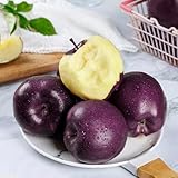 400 piezas Manzano comprar semillas, frutas exóticas, plantas resistentes para el jardín (Malus domestica) plantas en maceta extremadamente resistentes, semillas orgánicas, árboles frutales enano