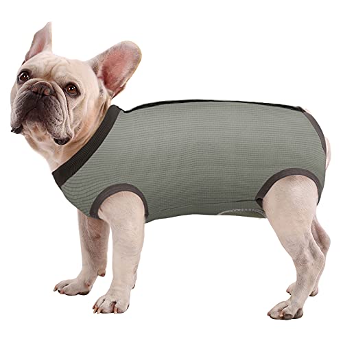 SAWMONG Recovery Suit for Dog, Dog Surgery Recovery Suit for Abdominal Wounds, Dog Onesie E-Collar Alternative After Surgery Wear Anti Licking Wounds Cool Fabric for Summer (Large, Green)