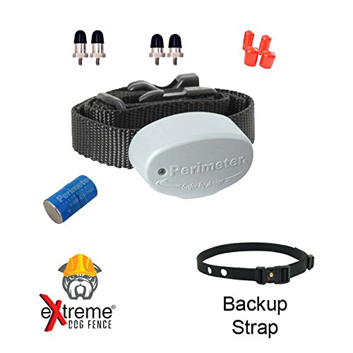 Perimeter Technologies Invisible Fence R21 Replacement Collar 7K - 1 Dog and Free