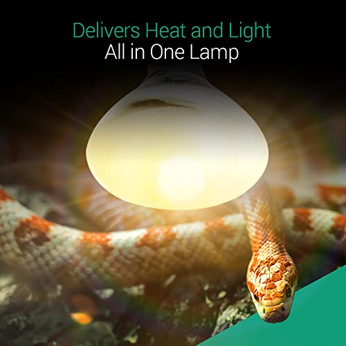 BlueX 160-Watt Reptile UVA UVB Sun Lamp - All-in-One Bulb Self-Ballasted Mercury Vapor Basking Light Heat Lamp Bulbs - Replicates Natural Sunlight Beneficial to Reptiles Amphibians Lizards Tortoises - Thumbnail 3