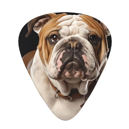 Médiators de guitare lot de 120 pièces en 3 épaisseurs avec boîte bouledogue anglais