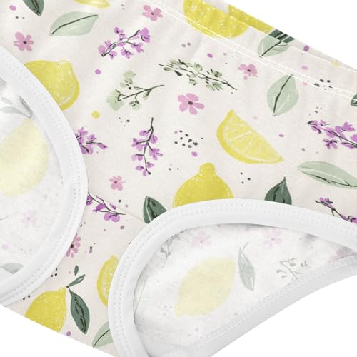 Wusikd Lemon Lavender Girls' Underwear Cotton Girls Briefs Soft Toddler Underwear 2T4