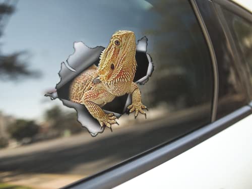 Bearded Dragon Animal Pet Sticker Graphic Decal Sticker 5" #TOP3